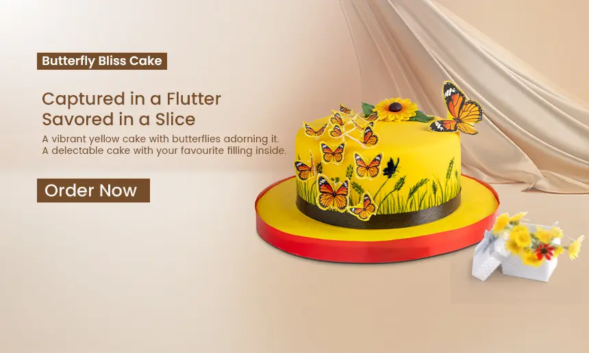 Butterfly Bliss cake product banner